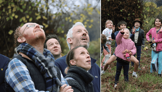 Teddy Bear zipwire at Hatton Church